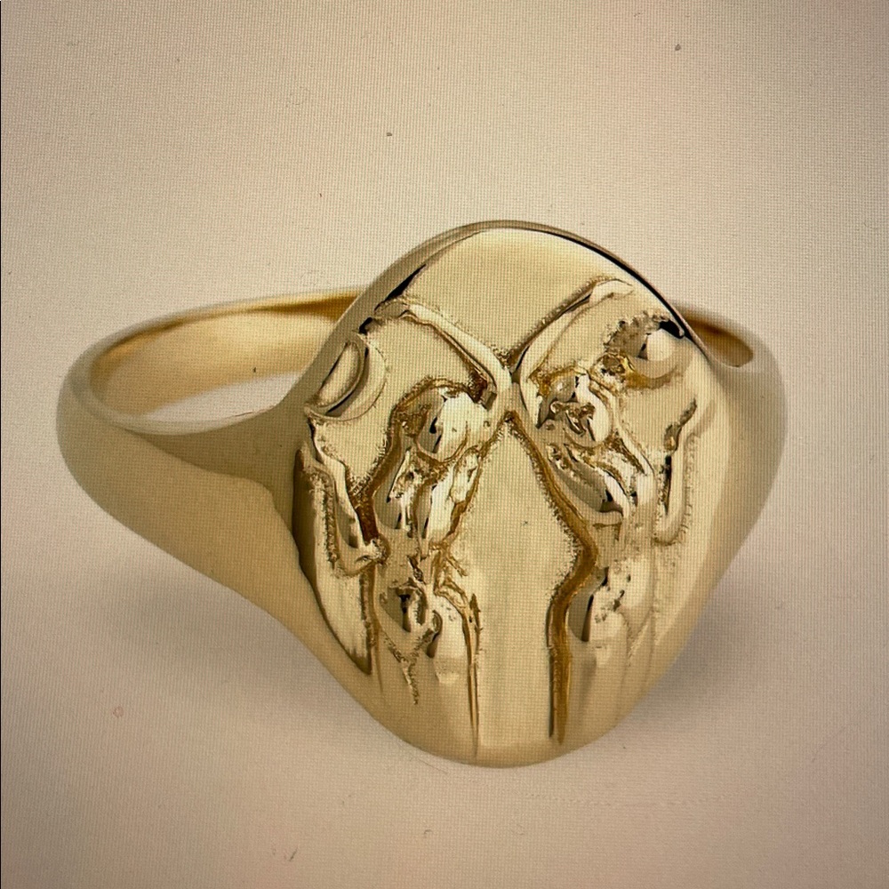 Talon Brass ✨ Gemini ✨ Zodiac Signet Ring sz6